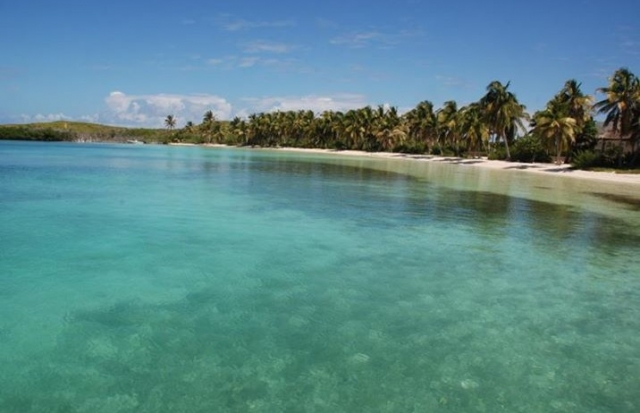  virgin coasts 